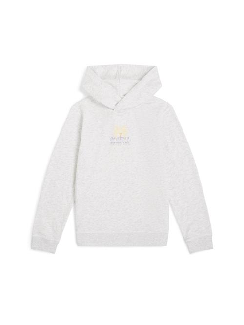 O'NEILL Sweatshirt  blandingsfarvet / hvid-meleret