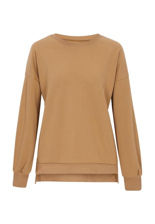 usha BLUE LABEL Sweatshirt  brun / lysebrun