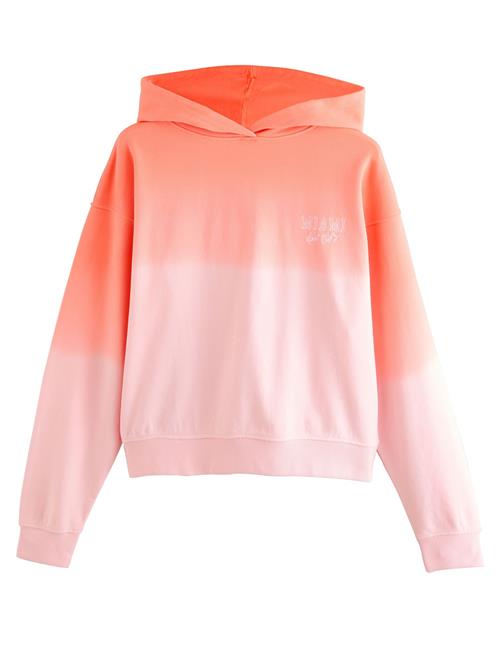 Next Sweatshirt  koral / laks / rosé