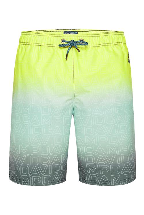 CAMP DAVID Badeshorts  lemon / grøn / mint