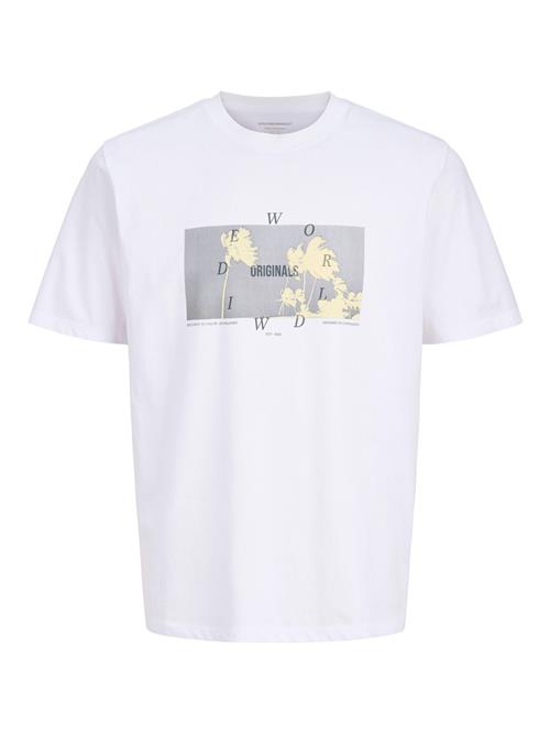 JACK & JONES Bluser & t-shirts  chamois / grå / mørkegrå / hvid