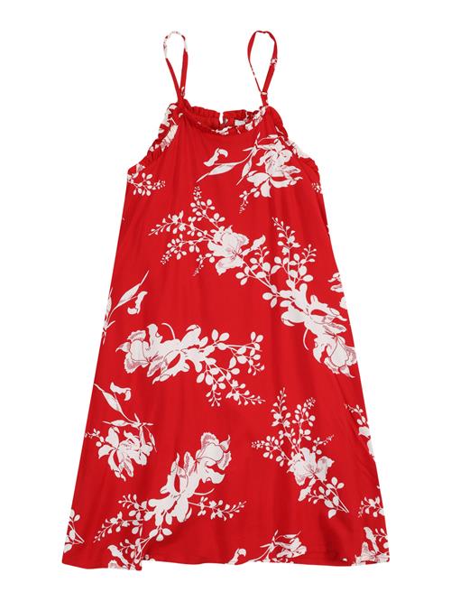 ABOUT YOU Kjole 'Annelie'  rød / hvid