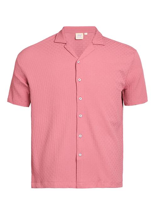 Campus Sutra Skjorte 'Tameka'  lyserød