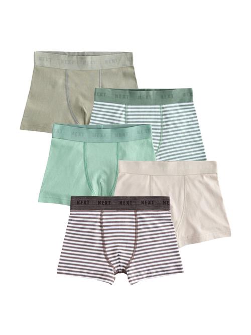 Next Badeshorts  beige / mørkegrå / oliven / mint