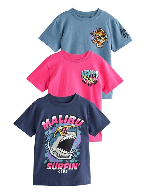 Next Shirts  blå / pink