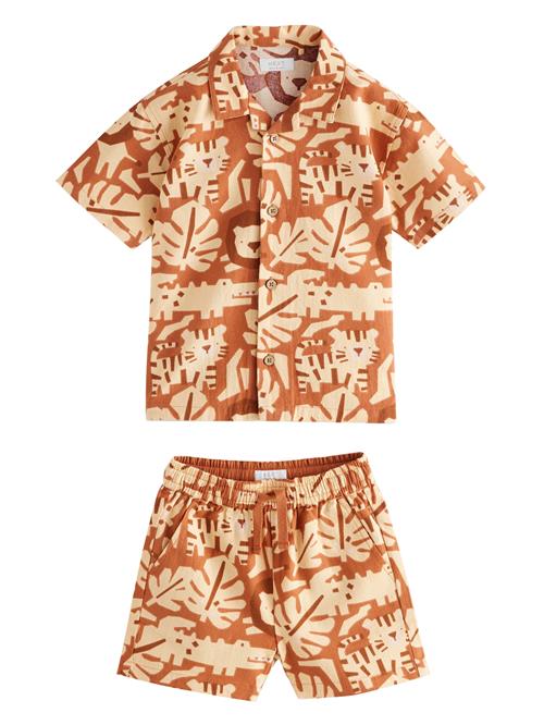 Next Sæt  beige / brun