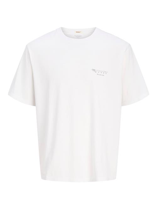 JACK & JONES Bluser & t-shirts 'JORAlmeria World'  blå / gul / grøn / hvid