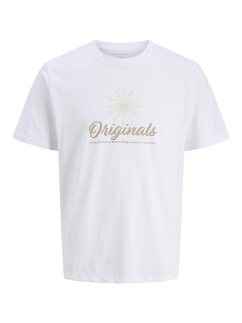 JACK & JONES Bluser & t-shirts  mørkebeige / hvid