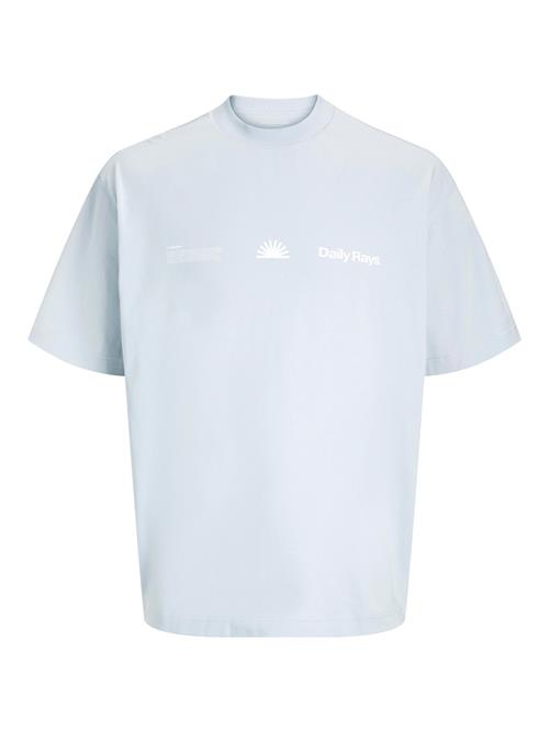 JACK & JONES Bluser & t-shirts  lysegrå / hvid