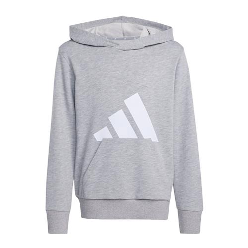 ADIDAS SPORTSWEAR Sportsweatshirt 'Essentials'  grå / hvid