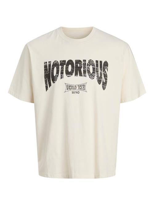 JACK & JONES Bluser & t-shirts 'JOREaglerock Gallery'  orange / mørkeorange / sort / uldhvid