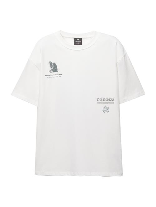 Pull&Bear Bluser & t-shirts 'THE THINKER'  opal / grå / grafit / hvid