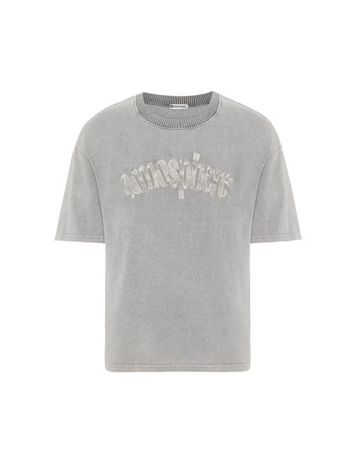 Dandalo Sweatshirt  grå / stone