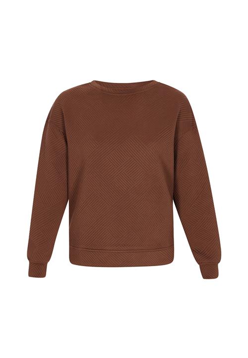 faina Athlsr Sweatshirt  brun