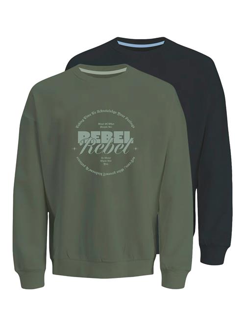 JJ Rebel Sweatshirt 'JREBGRAY'  grøn / pastelgrøn / sort