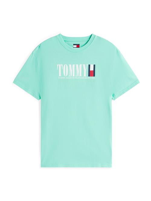 Tommy Jeans Bluser & t-shirts  navy / mint / rød / hvid