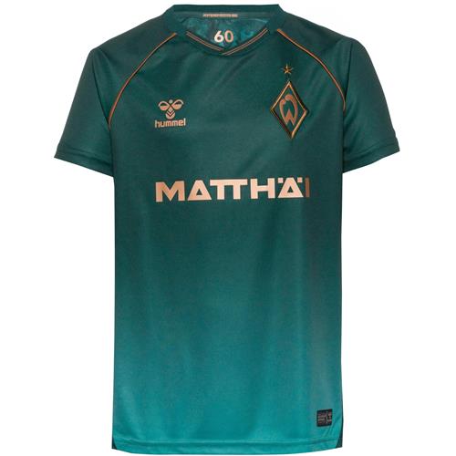 Hummel Funktionsskjorte 'SV Werder Bremen 2025/2026'  bronze / gran