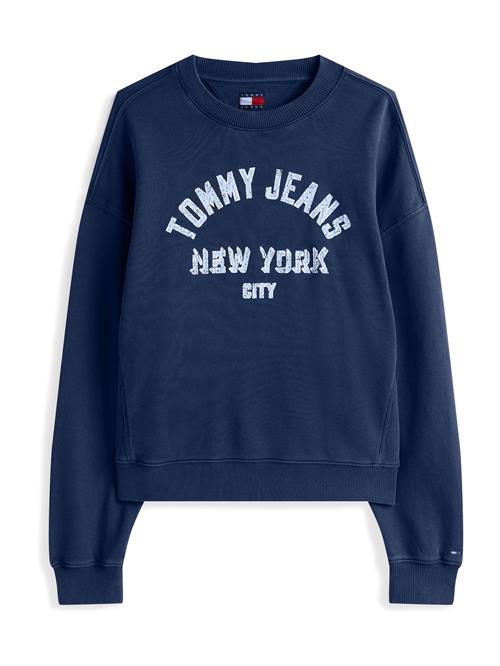 Tommy Jeans Sweatshirt  navy / pastelblå / hvid