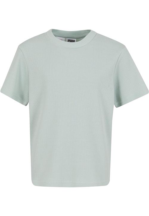 Urban Classics Shirts  mint