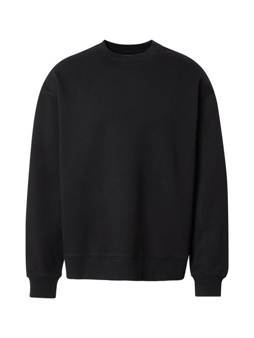 REPLAY Sweatshirt  mørkegrå / sort