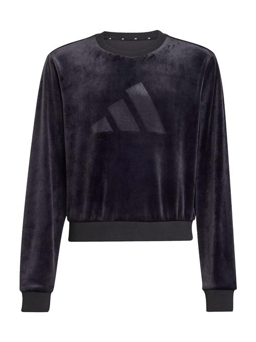 ADIDAS SPORTSWEAR Sportsweatshirt  mørkegrå / sort