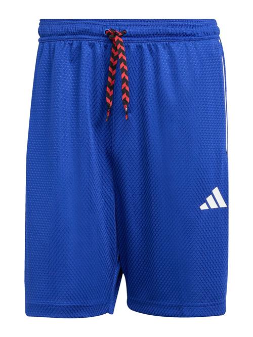 ADIDAS SPORTSWEAR Sportsbukser 'TIRO'  blå / rød / hvid