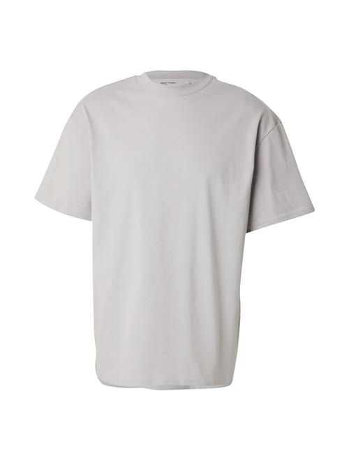 WEEKDAY Bluser & t-shirts 'Great'  grå