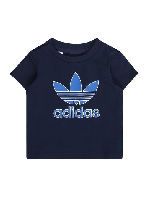 ADIDAS ORIGINALS Bluser & t-shirts 'TREFOIL'  lyseblå / mørkeblå