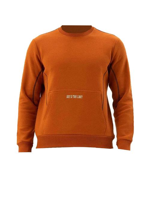 Arma Sweatshirt  brun / hvid