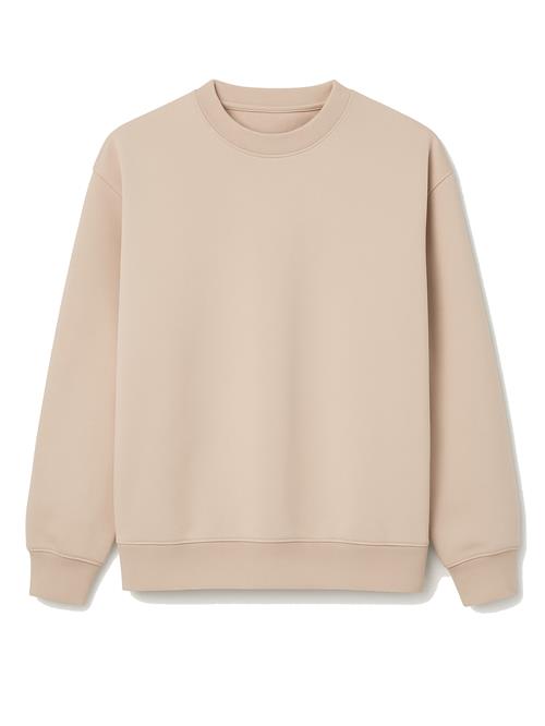 Eoselio Sweatshirt 'City'  beige