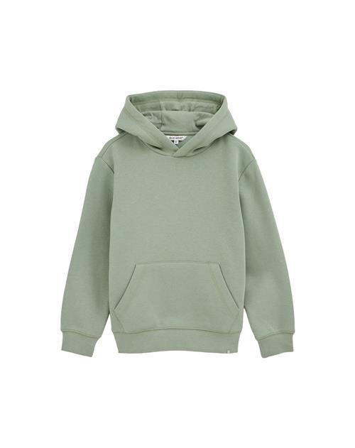 WE Fashion Sweatshirt  grøn / lysegrøn