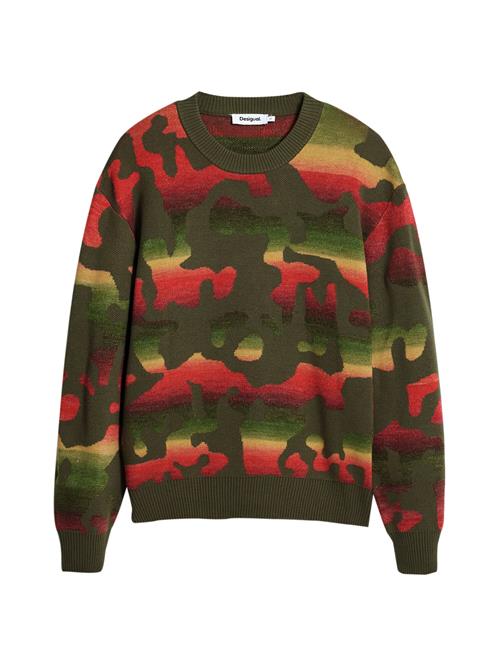 Desigual Sweatshirt  blandingsfarvet