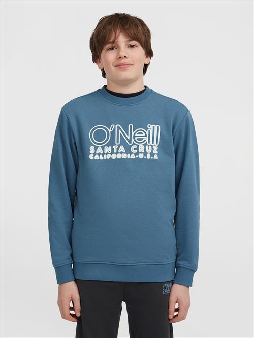 O'NEILL Sweatshirt  dueblå / hvid