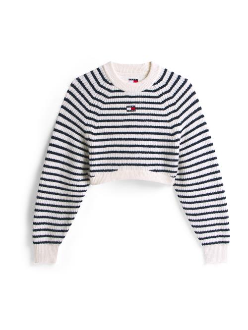 Tommy Jeans Pullover  navy / hvid