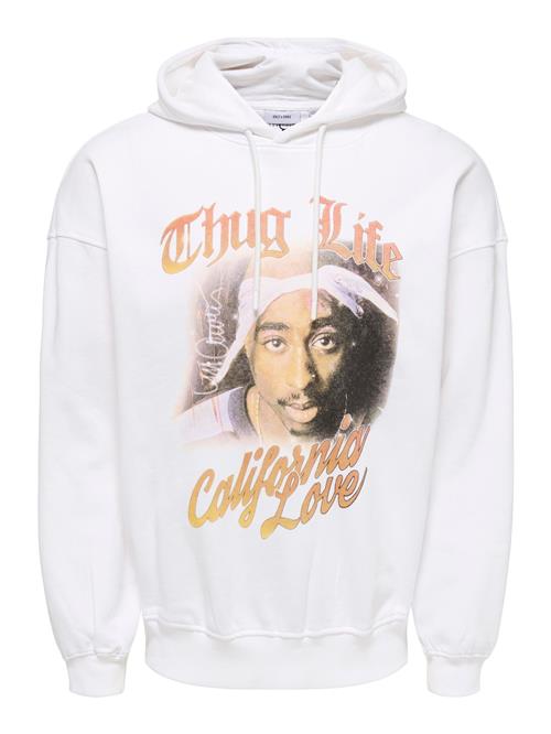 Only & Sons Sweatshirt 'ONSTupac'  blandingsfarvet / hvid