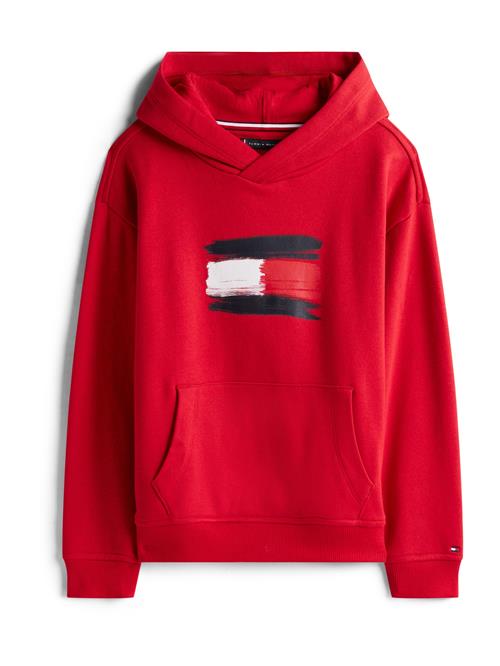 TOMMY HILFIGER Sweatshirt  rød / sort / hvid