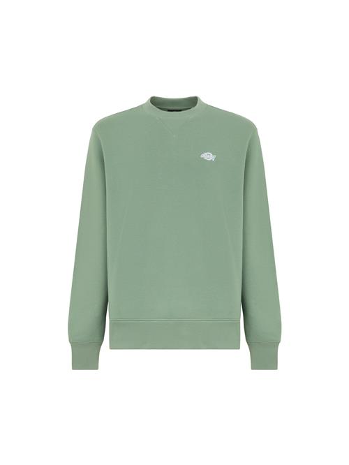 DICKIES Sweatshirt 'Summerdale'  turkis