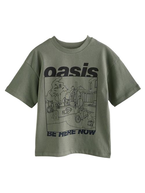 Next Shirts  gran / sort