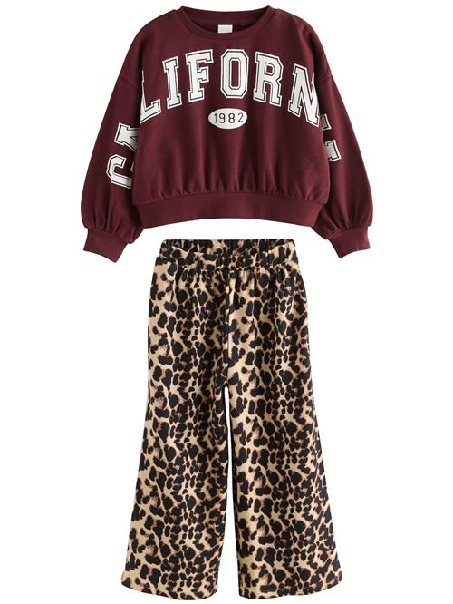 Next Sæt  beige / burgunder / sort / hvid