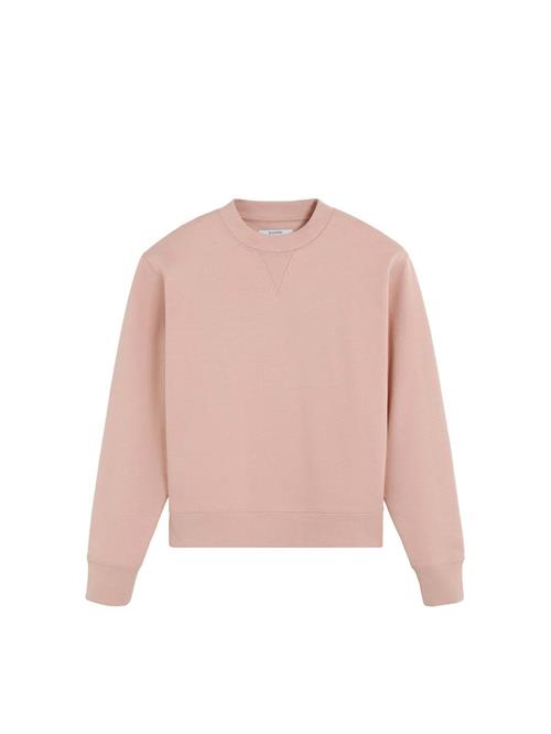 Scalpers Sweatshirt ' '  beige / naturhvid