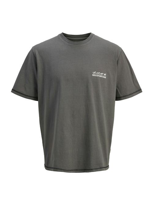 JACK & JONES Bluser & t-shirts 'JORLiverpool'  mørkegrå / hvid