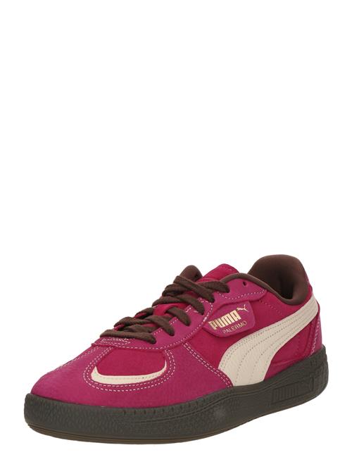 PUMA Sneaker low 'Palermo Moda Wine Club'  creme / guld / pitaya