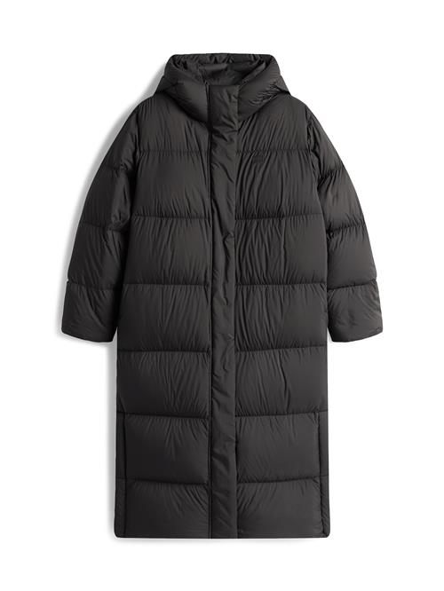 TOMMY HILFIGER Vinterfrakke  sort