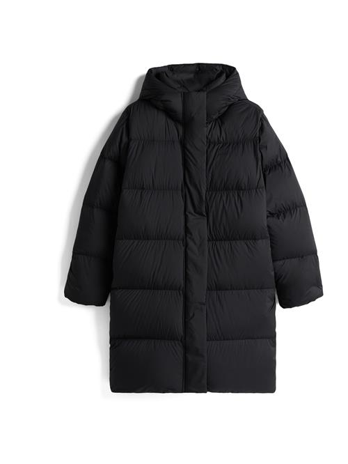 TOMMY HILFIGER Vinterfrakke  sort