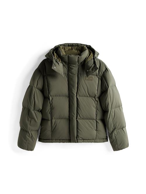 Tommy Jeans Vinterjakke 'Alaska'  oliven