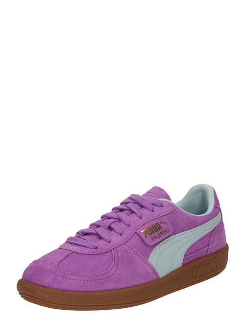 PUMA Sneaker low 'Palermo'  mint / orkidee
