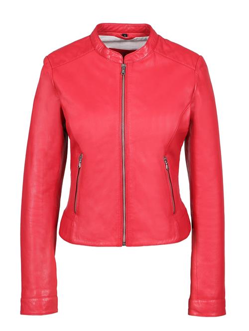 FREAKY NATION Overgangsjakke  rød