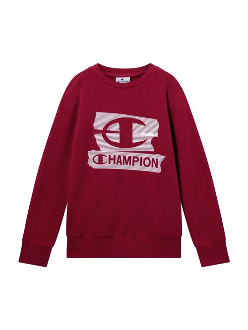 Champion Authentic Athletic Apparel Sweatshirt  rubinrød / hvid