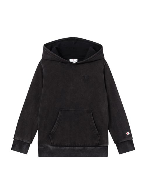 Champion Authentic Athletic Apparel Sweatshirt  sort