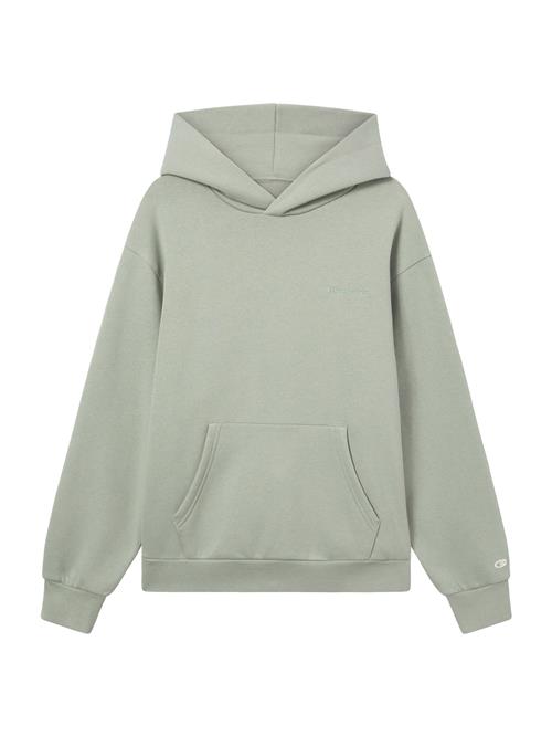 Champion Authentic Athletic Apparel Pullover  pastelgrøn